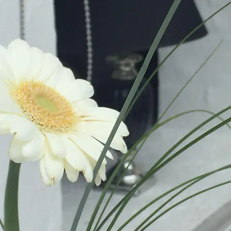 Hotel Assens 3* Assens