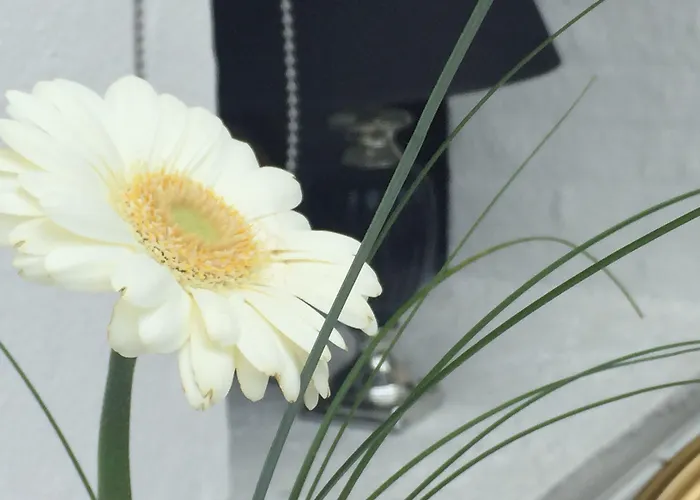 Hotel Assens 3* Assens