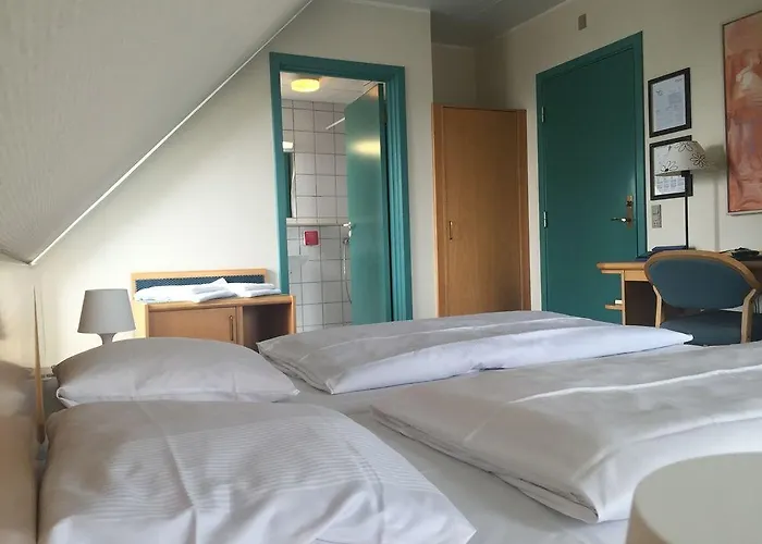 Hotel Assens 酒店 3*